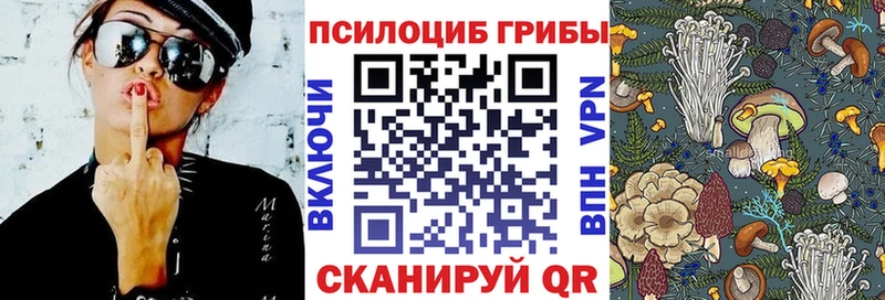 Псилоцибиновые грибы прущие грибы  Купить закладки  Гаврилов Посад 